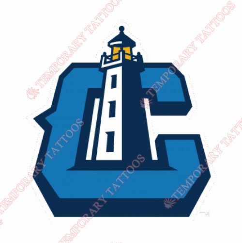 Lake County Captains Customize Temporary Tattoos Stickers NO.8115